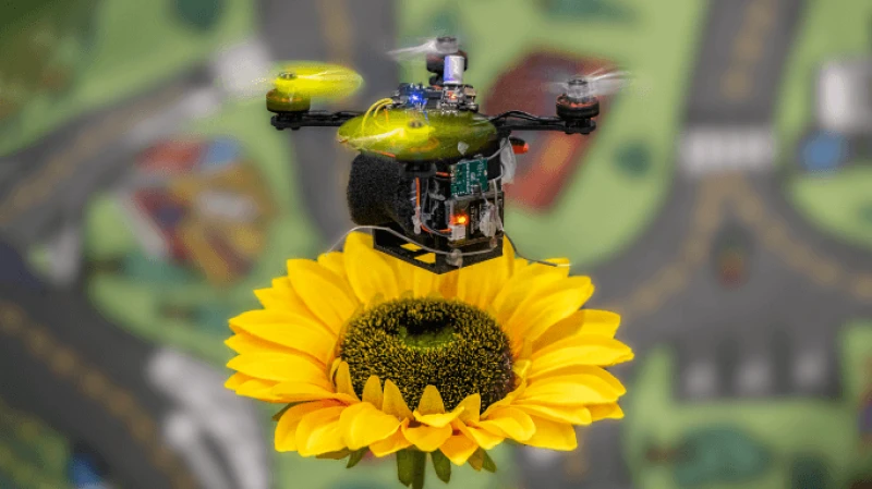 Credit: Nitin J Sanket and University of Maryland DRUM