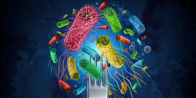 Foodborne Pathogens.jpg