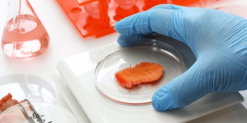 Fancy-some-structured-3D-bioprinted-tuna-steaks-1280×640 Credit: DigiconAsia