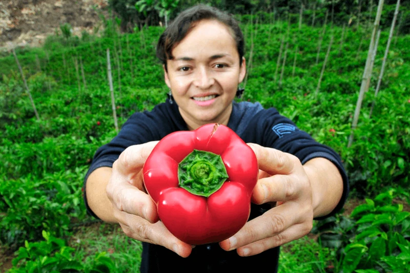 Credit: Neil Palmer/Borgen Project