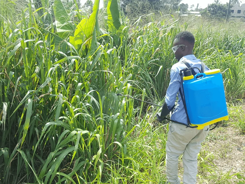 Credit: Boasiedu via CC-BY-SA-4.0