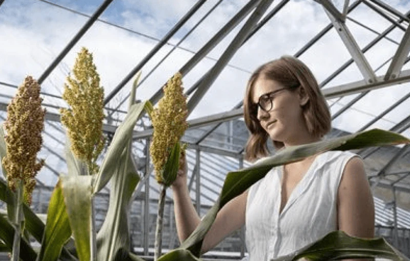 Screenshot 2024-10-09 at 7.35.34 PM