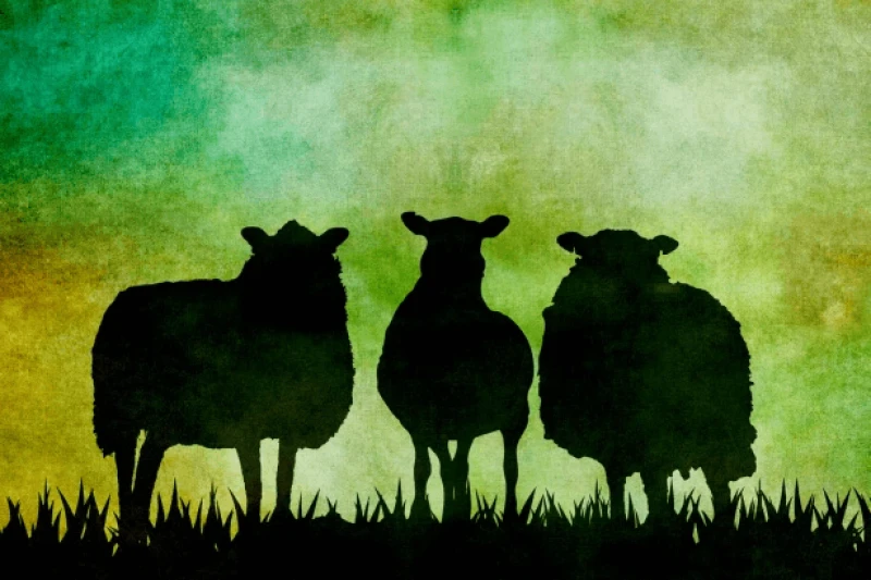 sheep silhouette vintage art