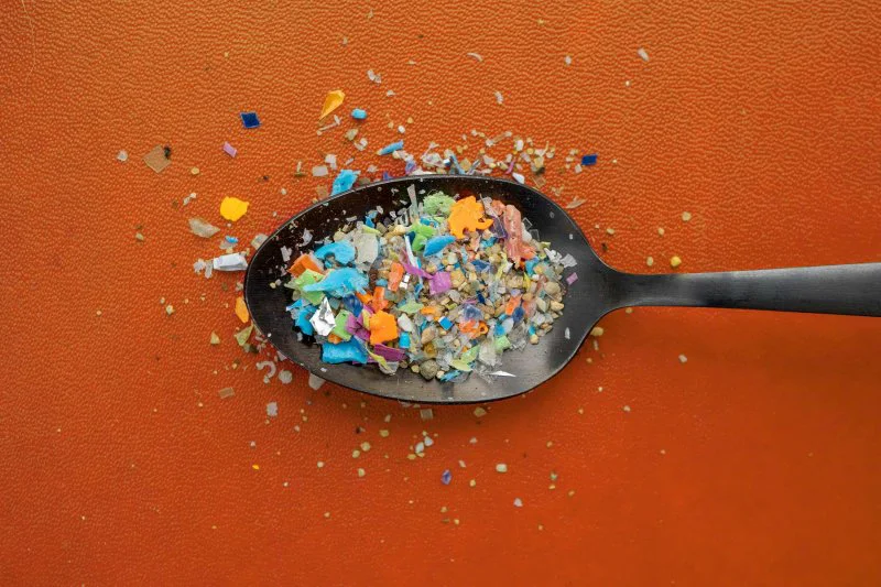 Header-SF-Microplastics-iStock Credit: John DiJulio, University Communications