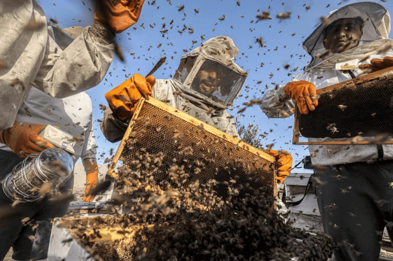 Credit: Said Khatib/Getty Images