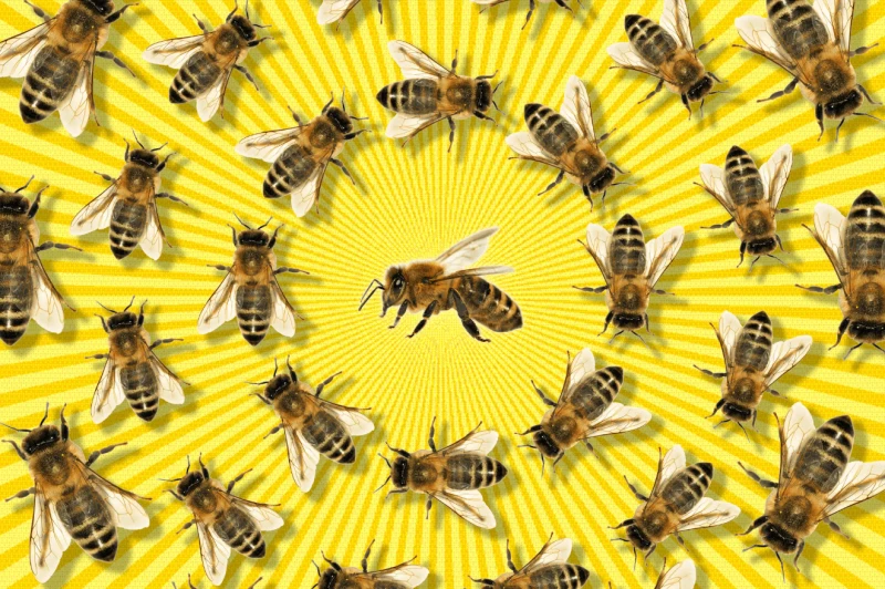 Credit: New York Post