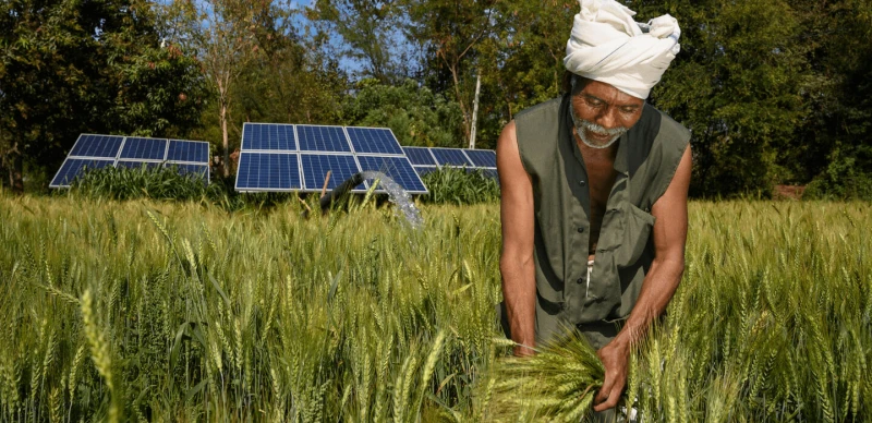 Credit: Science News