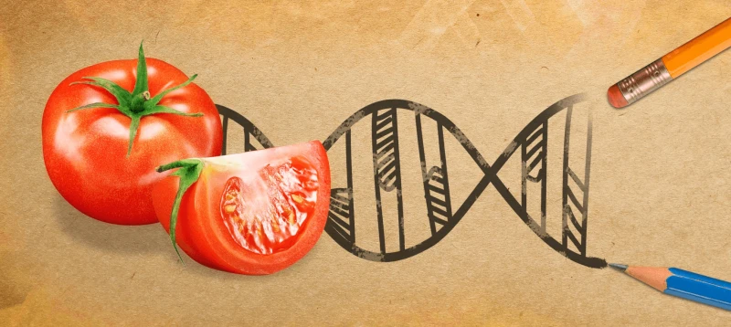 Credit: Bold Business