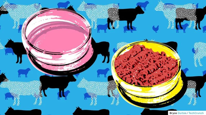 Microbial 'meat' does not require pesticides and has a higher protein content than animal meat. In addition, it could be genetically engineered for a fortified vitamin and mineral content, as well as to approximate its taste and texture to that of red meat. Credit: Bryce Durbin via TechCrunch
