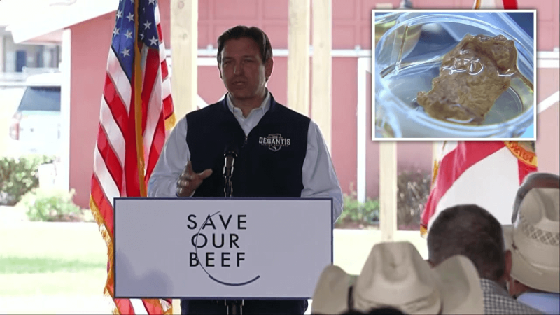 Ron DeSantis. Credit: Fox News