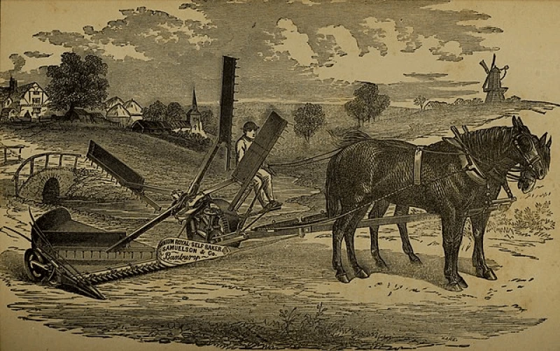 Credit: Luis Brugueire via CC0-1.0