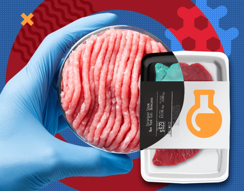 lab grown meat a big step forward hero
