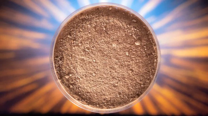 'Proton' protein made into fish food. Credit: BioMar