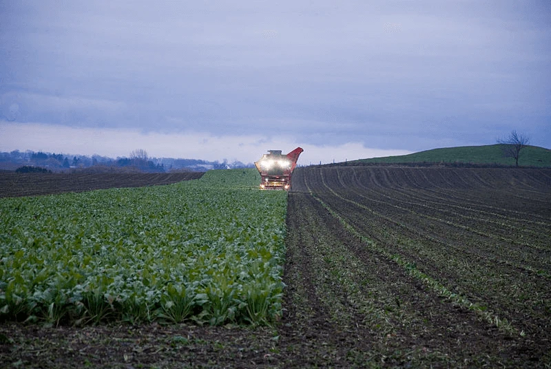 organic vs conventional