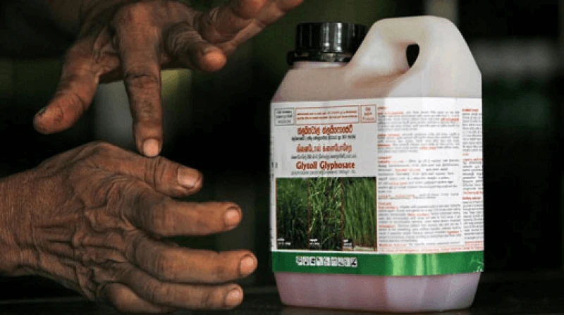 Credit: Movement for Land and Agricultural Reform