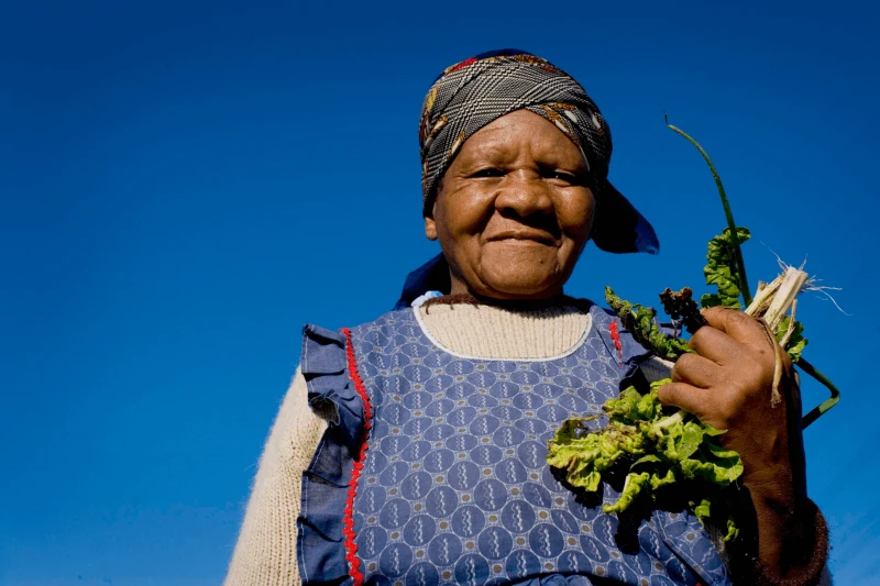 africa food security africa food security