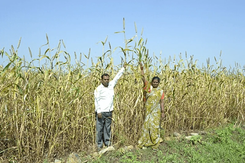 Credit: लोकपर्याय, लोणी-खु ता.वैजापूर,जि.औरंगाबाद via CC-BY-SA-4.0