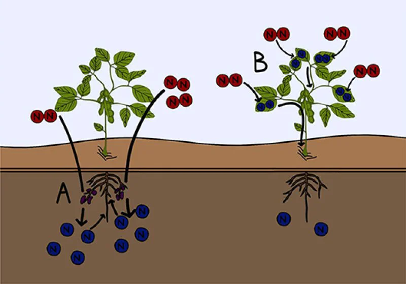 figure-3 figure-3