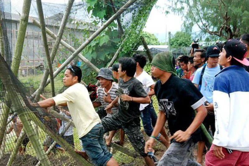 a aca a b c e jpg webp