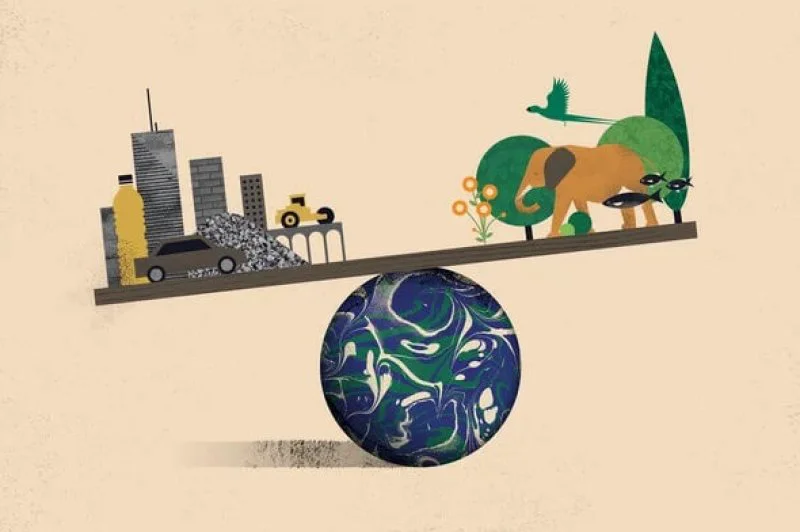 In terms of other forms of pollution, ‘organic farming’ has a greater potential for eutrophication —up to 36% higher in phosphates, and 13% in sulfur dioxide— and an ammonium emission 11% higher than conventional agriculture. Credit: Itai Raveh