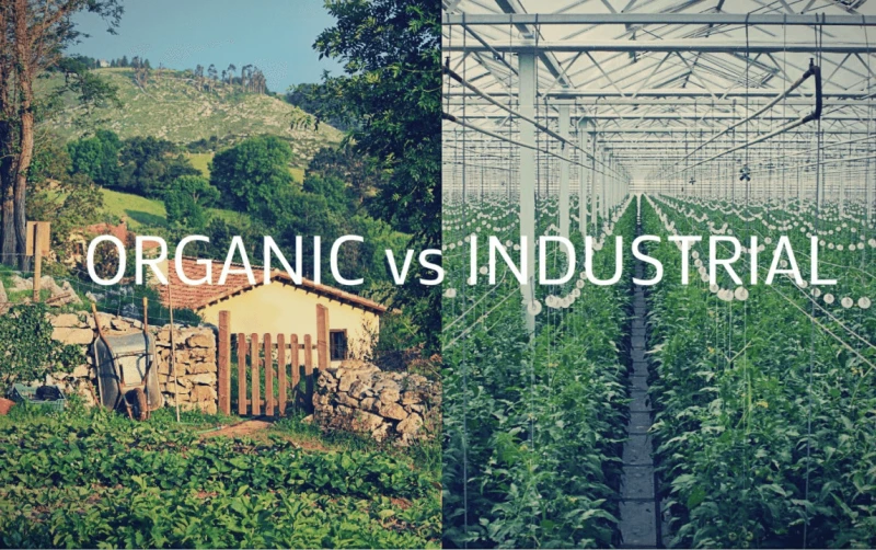 image Credit: Agritech World/LinkedIn