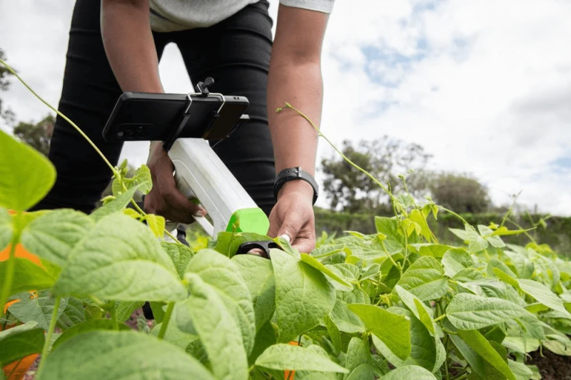 collecting digital data for ai breeding models to detect disease at the alliance of bioversity international and ciat field trials in arusha