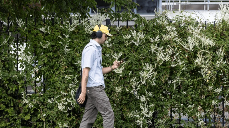 Credit: Richard Pohle