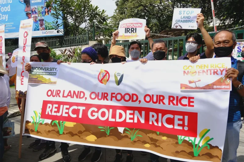 protest vs golden rice whd in the philippines panap