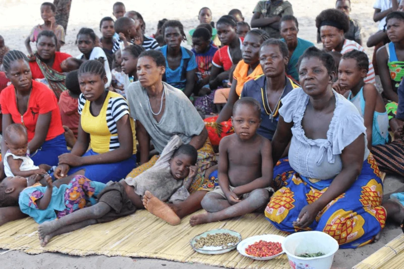 In 2022 over 1.3 milllion Zambians were severely food insecure. Credit: OCHA