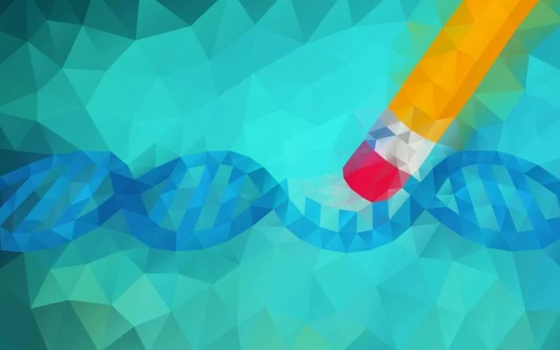 Should we use gene editing to bring back extinct species? Eradicate disease? Make super crops? Credit Genome Research Limited