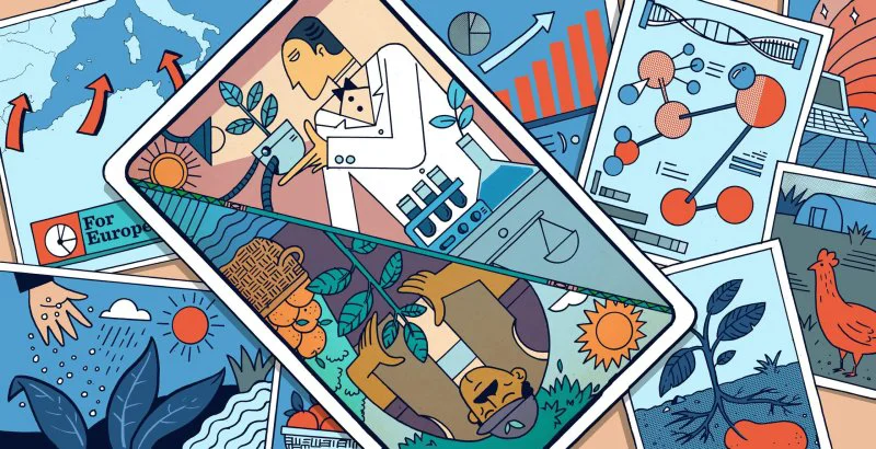 Credit: Othman Selmi