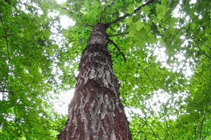 Credit: HudsonValleyOne