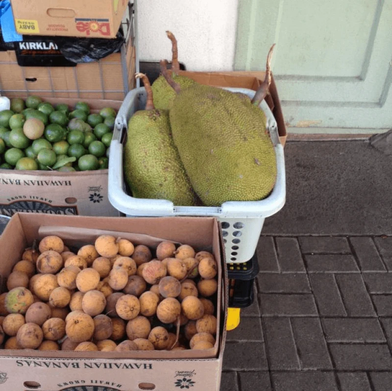 Credit: érard Koch, 2012