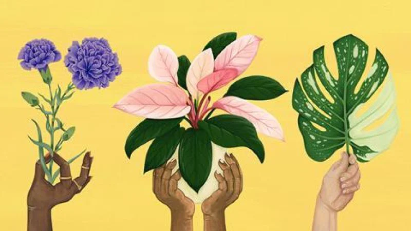 Credit: Central Illustration Agency