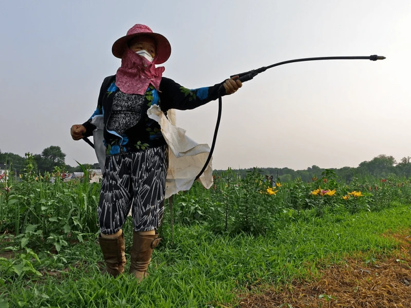 Credit: Media Mike Hazard/Flickr (CC BY 2.0)