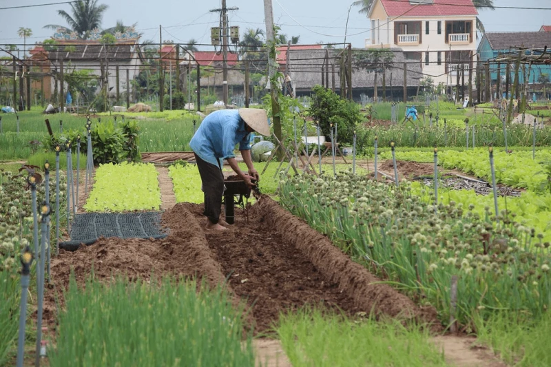 Credit: Global Environment Facility/Flickr CC BY-NC-SA 2.0