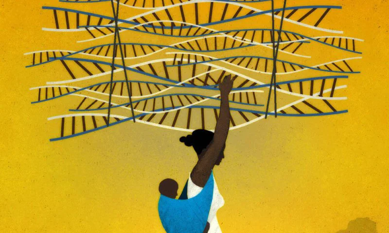 Deploying one type of disease resistant banana could have the effect equivalent of 54,776 Ugandans escaping poverty each year. Credit: Brian Stauffer