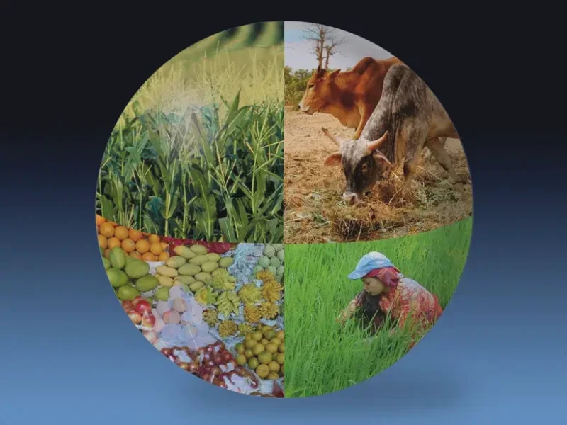 agmipglobe2_main_Web.jpg agmipglobe2_main_Web.jpg