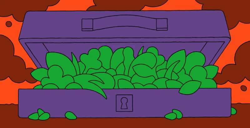 Credit: Lennard Kok/New Yorker