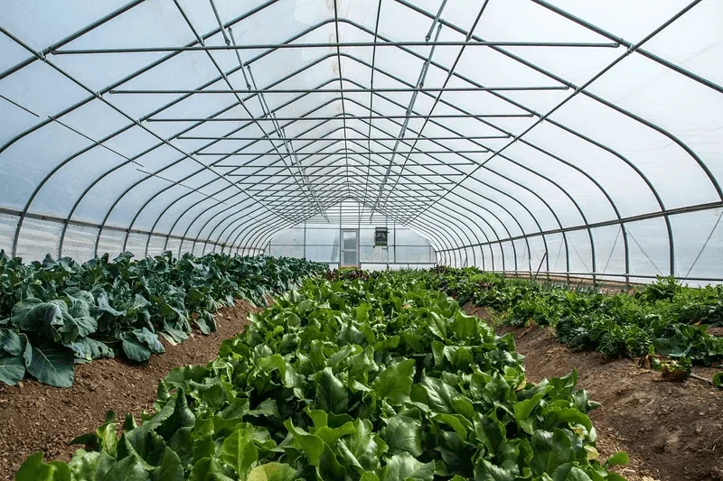 Credit: Preston Keres and USDA via CC0-1.0