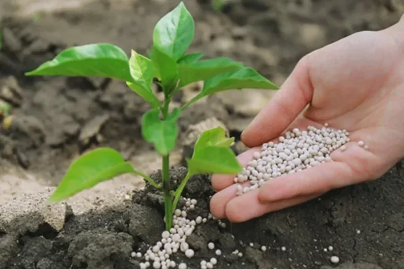 nanotechnology-in-agriculture-2