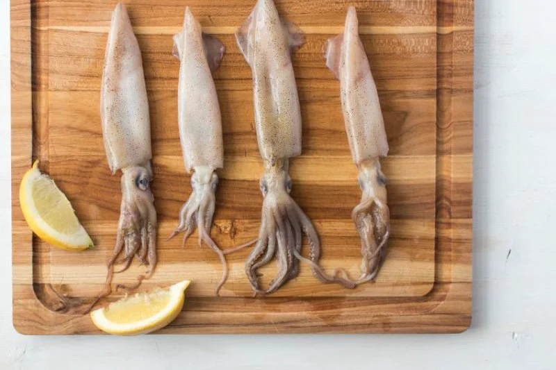 calamari_1806999-2-e8a531d5915e49719d5b049fd6fa00a1 calamari_1806999-2-e8a531d5915e49719d5b049fd6fa00a1