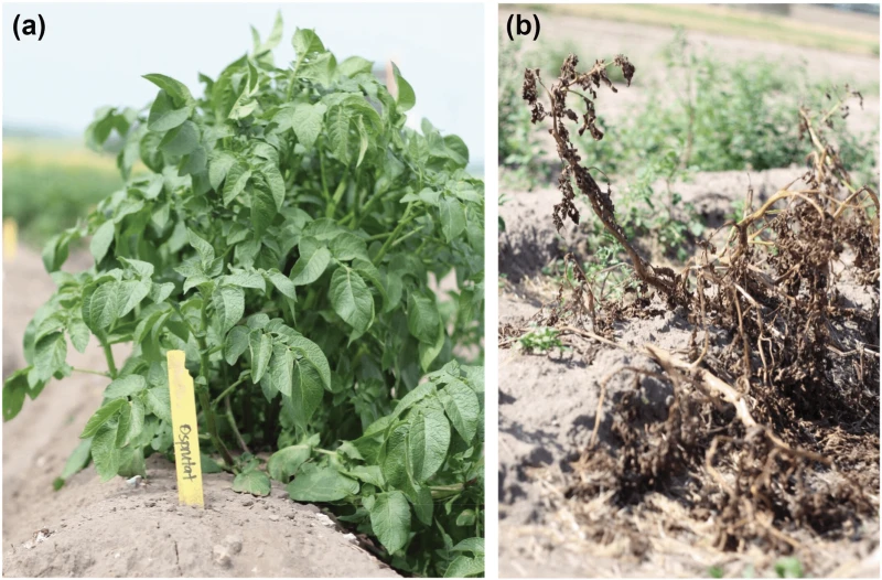 Credit: Anna Lehrman