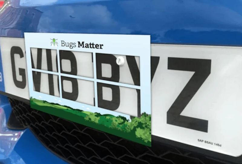 Credit: Weather Network