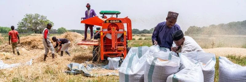 Credit: Flour Milling Association of Nigeria