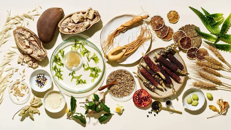 Nuebiome_natural_skincare_clean_ingredients_used Nuebiome_natural_skincare_clean_ingredients_used