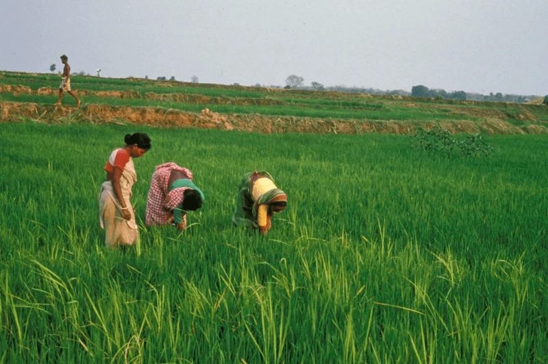 Credit: Curt Carnemark/World Bank (CC BY-NC-ND 2.0)