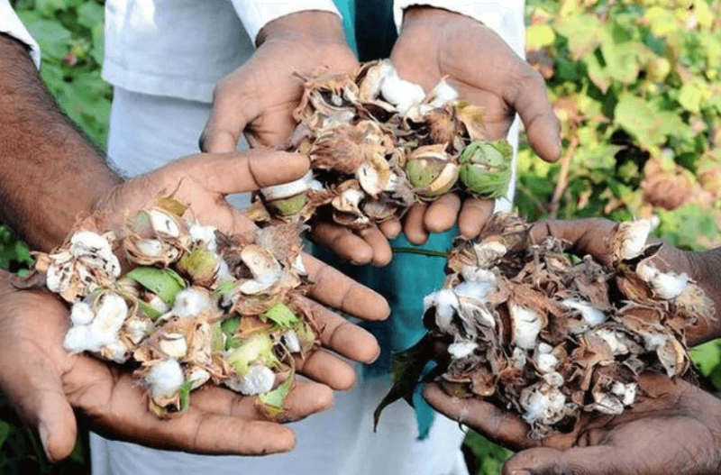 screenshot pm screenshot pm