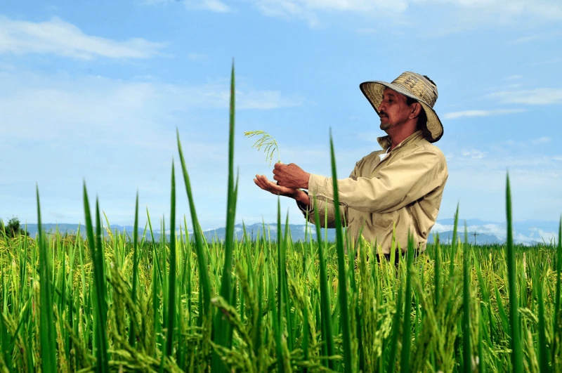 ee d b fc b ee d b fc b