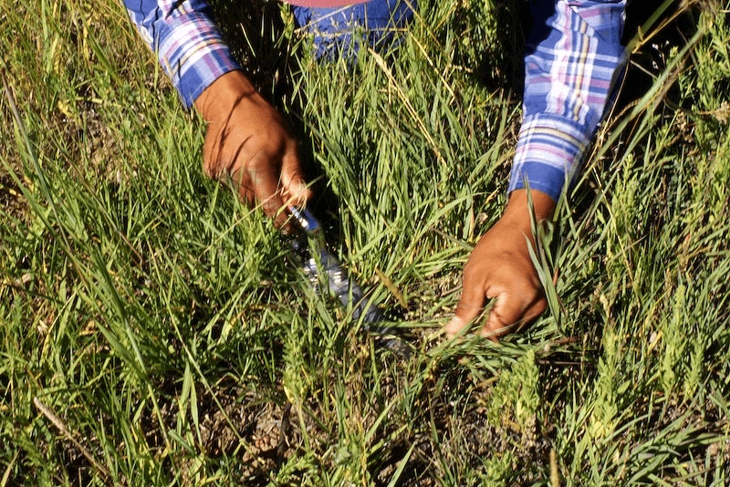 fl image kp dviem fl image kp dviem